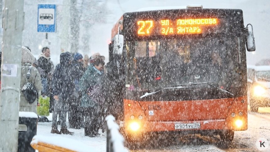 «Чё сидишь, проваливай!»: калининградцы рассказали о хамстве водителей и двойных списаниях в автобусах - Новости Калининграда | Фото: Александр Подгорчук / Архив «Клопс»
