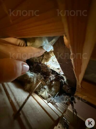 Внутри помещения сквозные дыры  | Фото: предоставила хозяйка дома