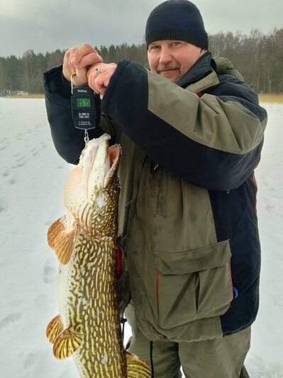 «Самая красивая щука — на Виштынце»: калининградец вытащил из лунки метровую рыбину (фото)  - Новости Калининграда | Фото: Михаил