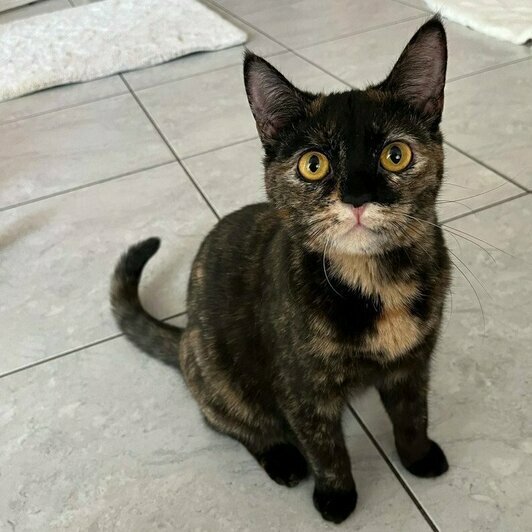 Лирика | Фото: Елена Сумская 