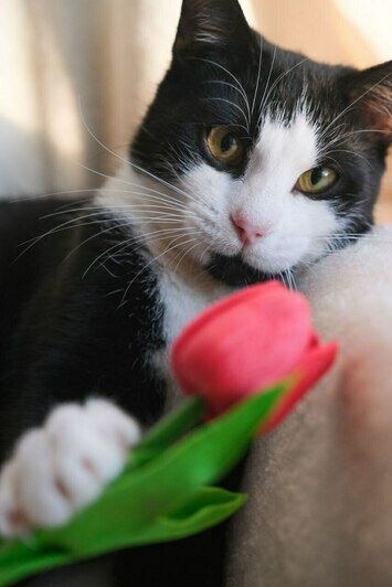 Чупик | Фото: Людмила Самохина