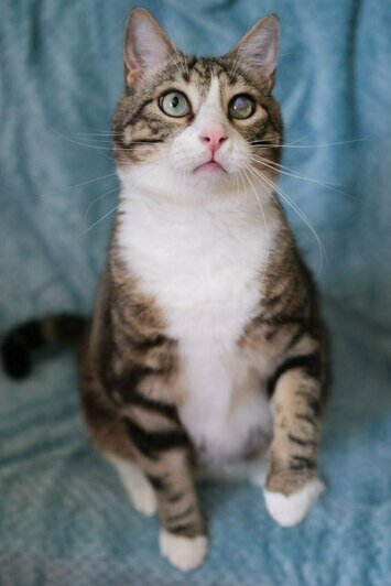 Олесь | Фото: Людмила Самохина 