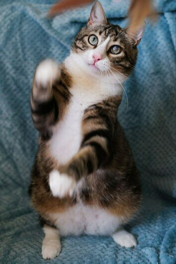 Олесь | Фото: Людмила Самохина 