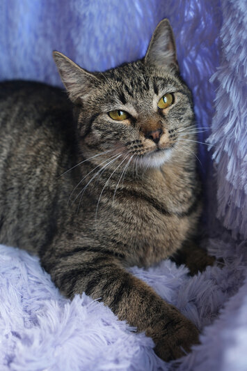 Лола | Фото: Людмила Самохина