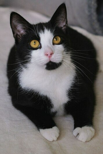 Чупик | Фото: Людмила Самохина