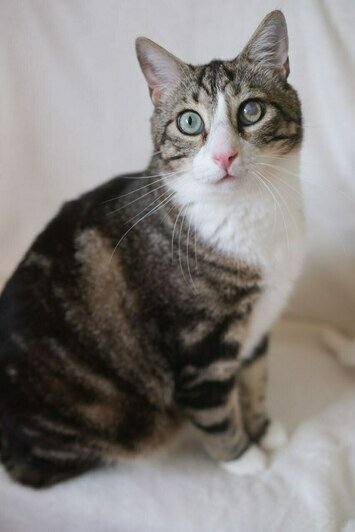 Олесь | Фото: Людмила Самохина 