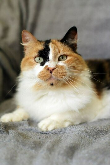 Даяна | Фото: Людмила Самохина