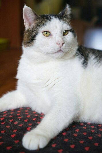 Кит  | Фото: Людмила Самохина