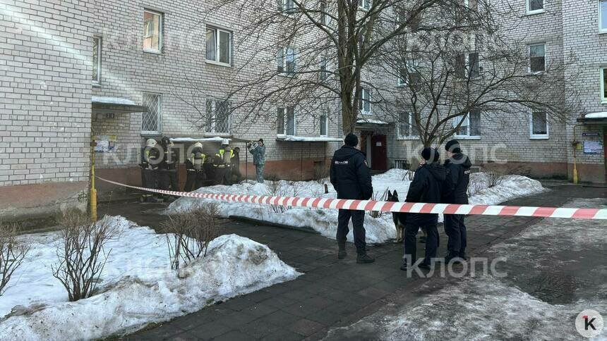 В Калининграде на Чекистов произошёл громкий хлопок, похожий на взрыв — очевидцы - Новости Калининграда | Фото: Александр Подгорчук / «Клопс»