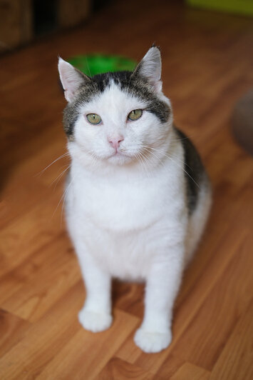 Кит  | Фото: Людмила Самохина