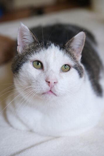 Кит  | Фото: Людмила Самохина