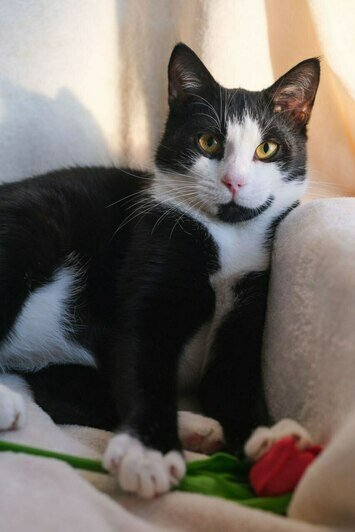 Чупик | Фото: Людмила Самохина