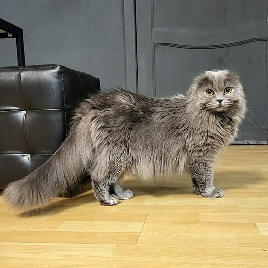 Пьер Безушек | Фото: Елена Сумская 