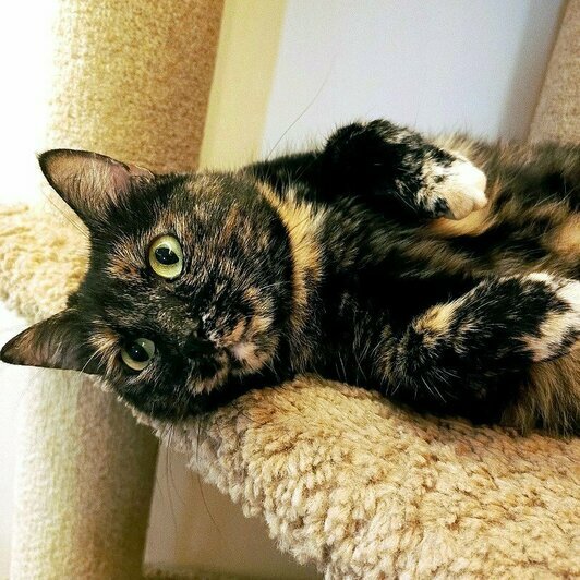 Моника  | Фото: Елена Сумская 