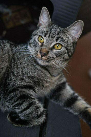 Лола | Фото: Людмила Самохина