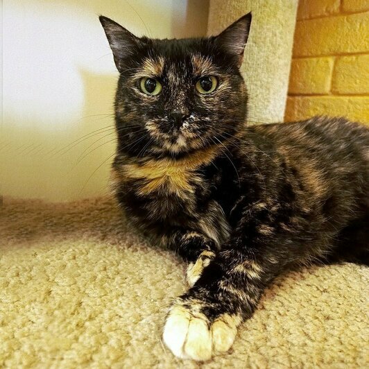 Моника  | Фото: Елена Сумская 