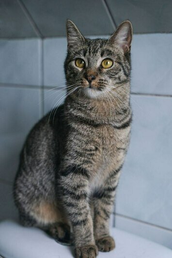 Лола | Фото: Людмила Самохина