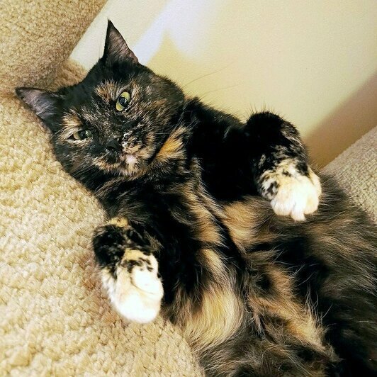 Моника  | Фото: Елена Сумская 