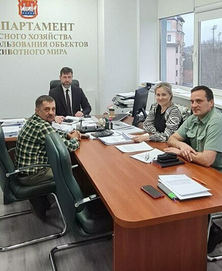 Фотоловушки на поросят: в Калининградской области планируют отслеживать незаконный вывоз мусора в леса   - Новости Калининграда | Фото: Николай Смирнов