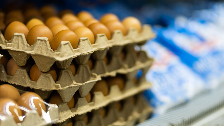 К 2030 году Калининградская область будет полностью обеспечивать себя молоком и яйцами — Беспрозванных  - Новости Калининграда | Фото: Александр Подгорчук / Архив «Клопс»