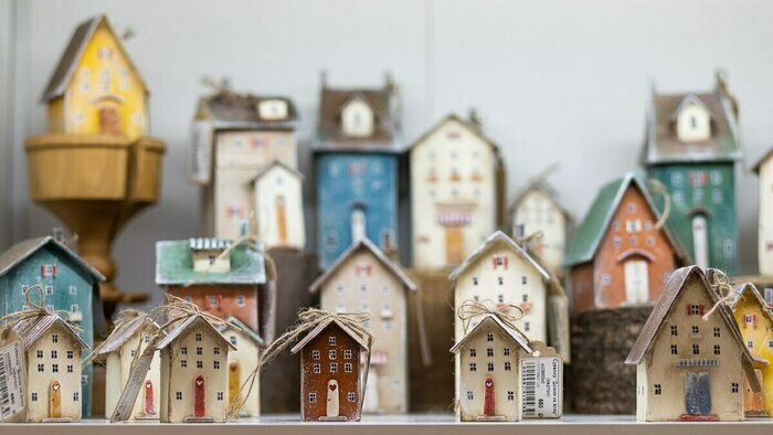 Котята, которые «смотрят в душу», и шашлык из шишек - Новости Калининграда