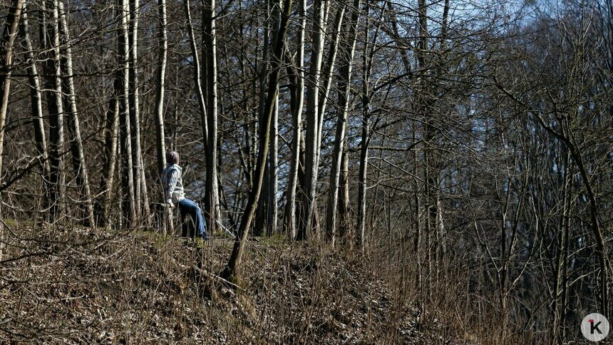 Мороз и солнце — вред деревьям: как спасти сад от весенних ожогов, рассказал калининградский агроном   - Новости Калининграда | Фото: Александр Подгорчук / Архив «Клопс»