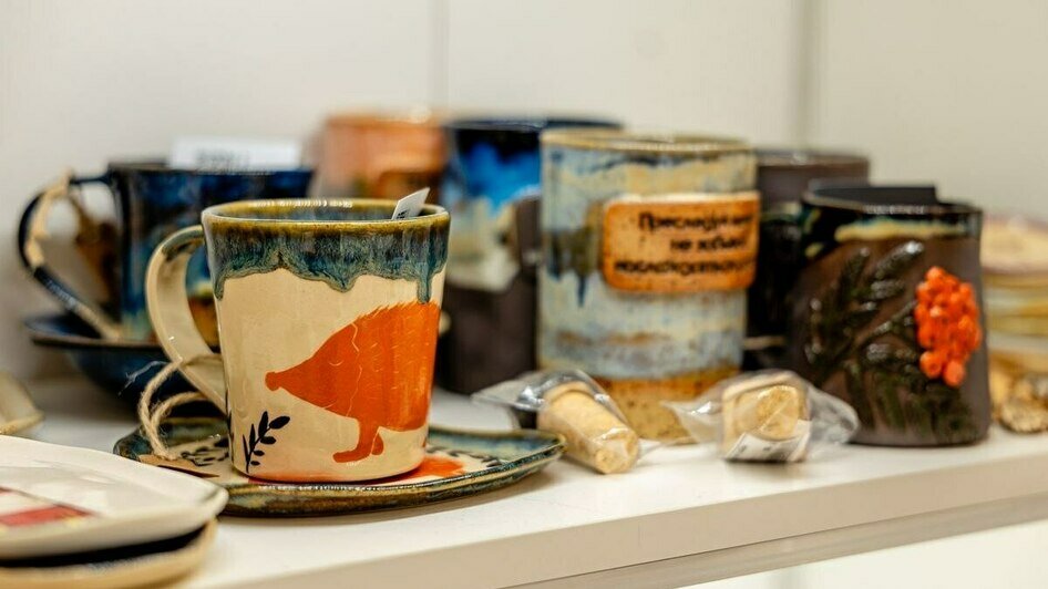 Котята, которые «смотрят в душу», и шашлык из шишек - Новости Калининграда