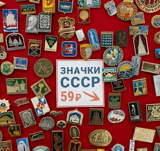 Котята, которые «смотрят в душу», и шашлык из шишек - Новости Калининграда