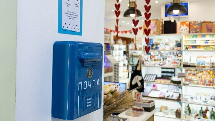 Котята, которые «смотрят в душу», и шашлык из шишек - Новости Калининграда