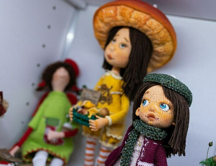 Котята, которые «смотрят в душу», и шашлык из шишек - Новости Калининграда