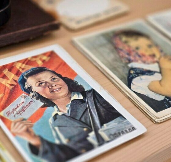 Котята, которые «смотрят в душу», и шашлык из шишек - Новости Калининграда