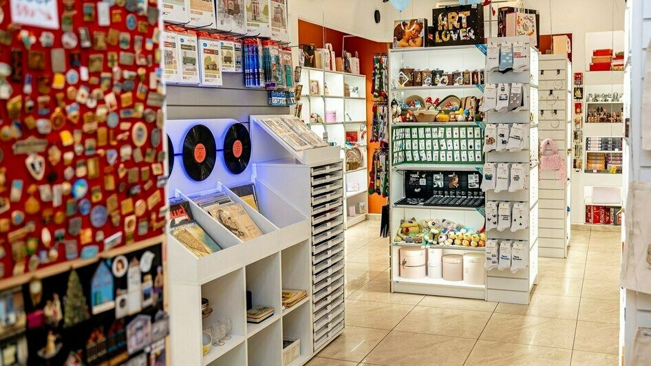 Котята, которые «смотрят в душу», и шашлык из шишек - Новости Калининграда