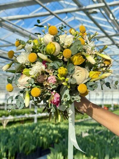 Парад цветов: в «Калинково» большой выбор цветов к 8 Марта - Новости Калининграда