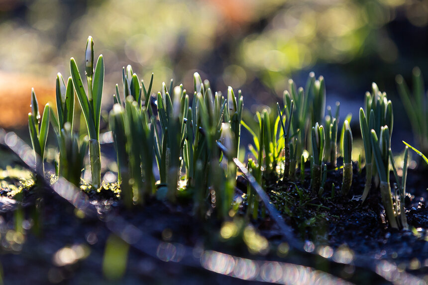 Синоптики пообещали тёплые и солнечные выходные в Калининградской области - Новости Калининграда | Фото: архив «Клопс»