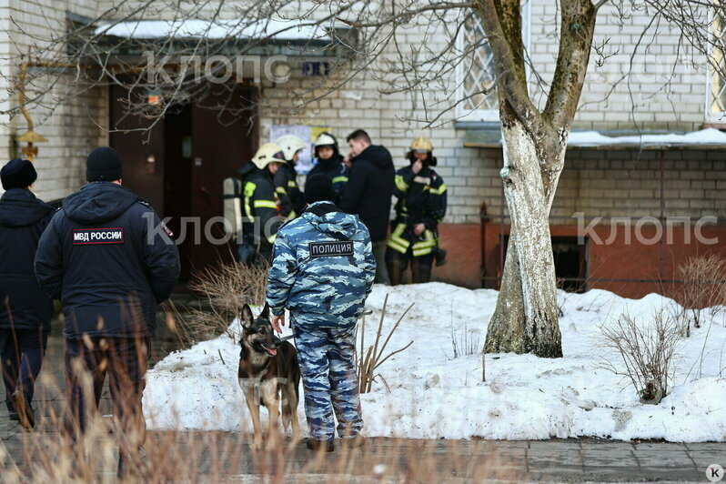 Арест министра, ЧП на Чекистов и газовый факел на кухне: 9 событий беспокойных выходных в Калининграде   - Новости Калининграда | Фото: Александр Подгорчук / «Клопс»