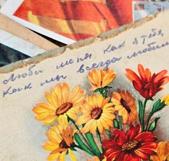 Котята, которые «смотрят в душу», и шашлык из шишек - Новости Калининграда