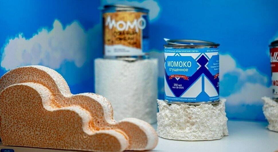 Котята, которые «смотрят в душу», и шашлык из шишек - Новости Калининграда