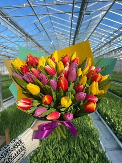 Парад цветов: в «Калинково» большой выбор цветов к 8 Марта - Новости Калининграда