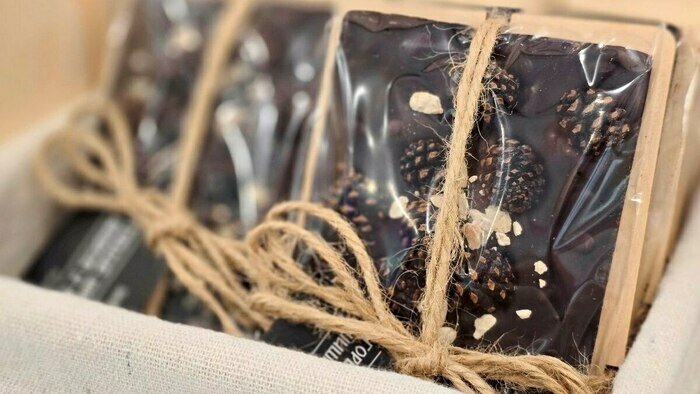 Котята, которые «смотрят в душу», и шашлык из шишек - Новости Калининграда