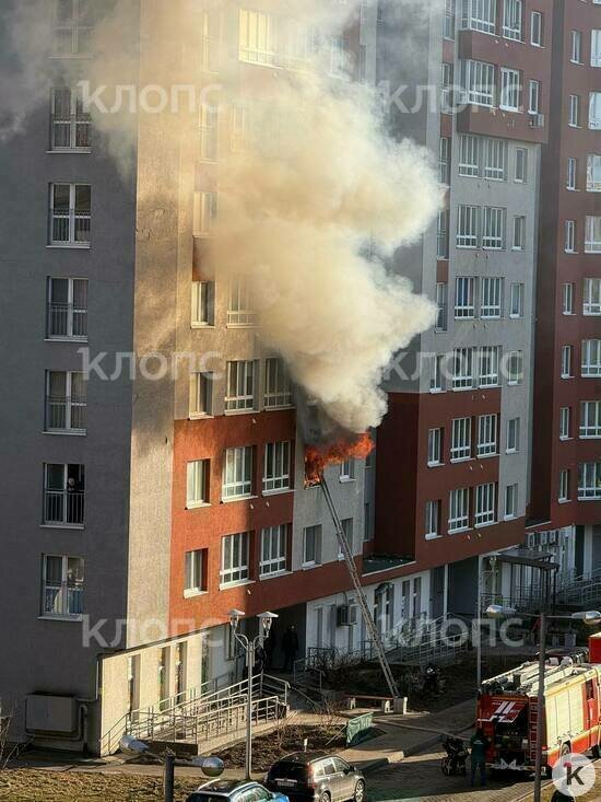 На Елизаветинской произошёл пожар в многоэтажке, МЧС эвакуирует жителей (фото, видео) - Новости Калининграда | Фото: очевидец