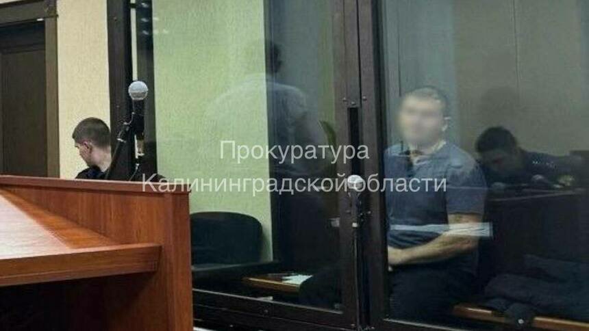 В Черняховске пьяный автомобилист повалил инспектора на землю и схватил за шею — дело ушло в суд - Новости Калининграда | Фото: прокуратура Калининградской области
