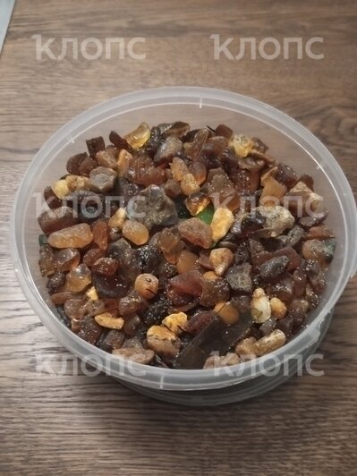 «У туристов челюсти выпадают»: берег моря под Светлогорском усыпало янтарём (фото) - Новости Калининграда | Фото: Вадим