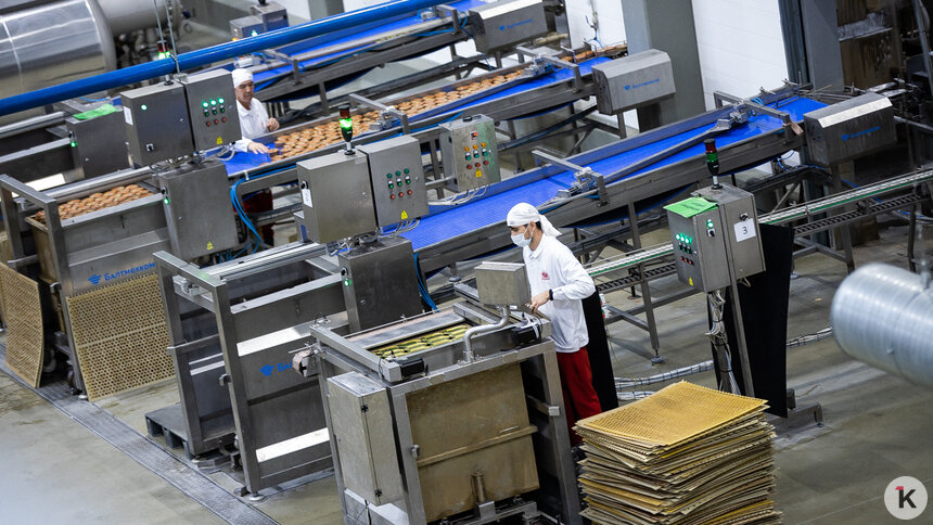 «Почти дефицит»: Матвиенко заявила о спросе на шпроты и призвала увеличить их выпуск в Калининградской области - Новости Калининграда | Фото: Александр Подгорчук / Архив «Клопс»