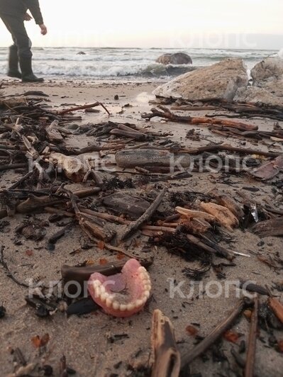 «У туристов челюсти выпадают»: берег моря под Светлогорском усыпало янтарём (фото) - Новости Калининграда | Фото: Вадим