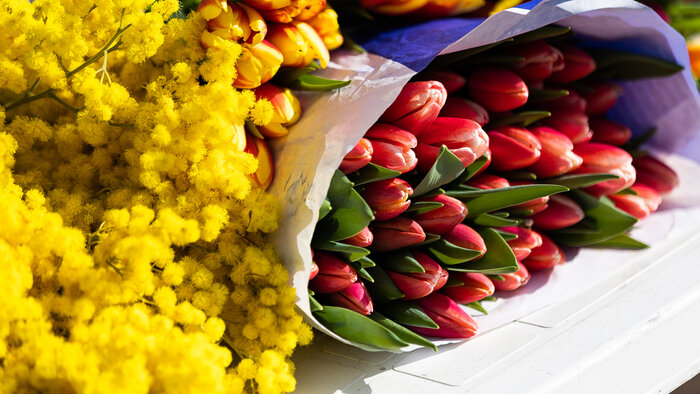 Концерты, ярмарки и велопробег: бесплатные мероприятия выходных в Калининградской области, которые запомнятся надолго - Новости Калининграда | Фото: архив «Клопс»