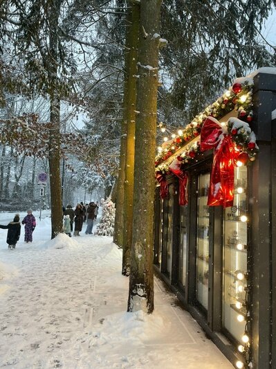 «Калининград по атмосфере понравился меньше Зеленоградска»: туристка рассказала о зимнем отдыхе с двумя детьми - Новости Калининграда | Фото: личный архив героини публикации