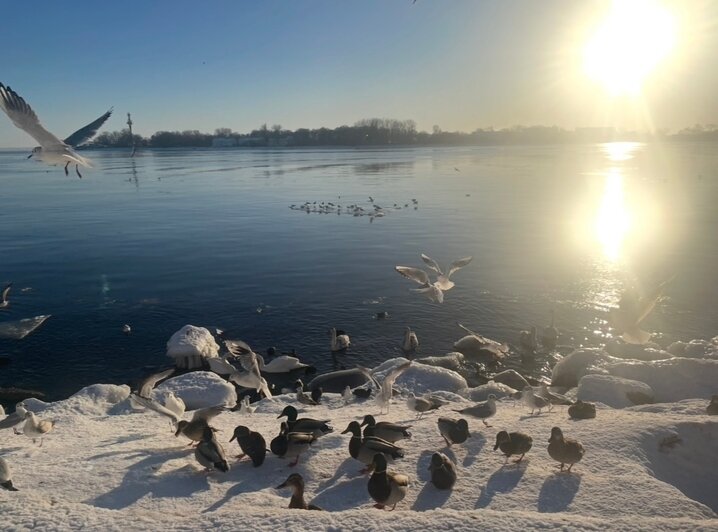 «Калининград по атмосфере понравился меньше Зеленоградска»: туристка рассказала о зимнем отдыхе с двумя детьми - Новости Калининграда | Фото: личный архив героини публикации