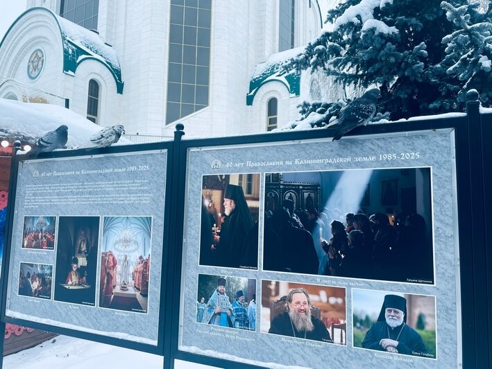 «Калининград по атмосфере понравился меньше Зеленоградска»: туристка рассказала о зимнем отдыхе с двумя детьми - Новости Калининграда | Фото: личный архив героини публикации