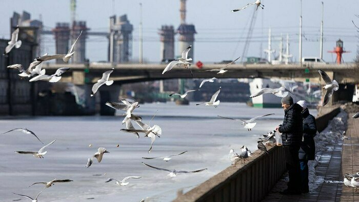 На 44-ю годовщину брака муж подарил жене и её подругам поездку в Калининград: как слабый пол задаёт тренды в туризме  - Новости Калининграда | Фото: Александр Подгорчук 