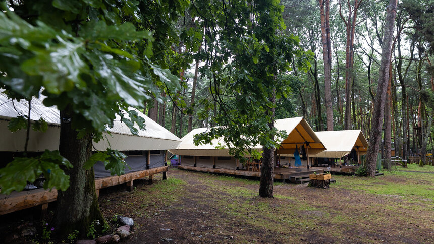 Кто из калининградских школьников бесплатно поедет в лагерь и почему стоит выбрать палаточный: Трусенёва — о планах на лето   - Новости Калининграда | Фото: Александр Подгорчук / Архив «Клопс»